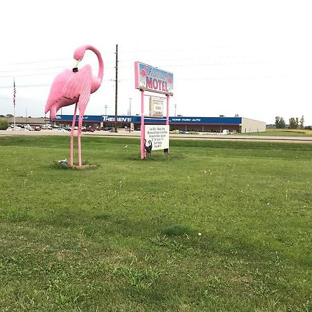 Flamingo Motel Marshalltown מראה חיצוני תמונה
